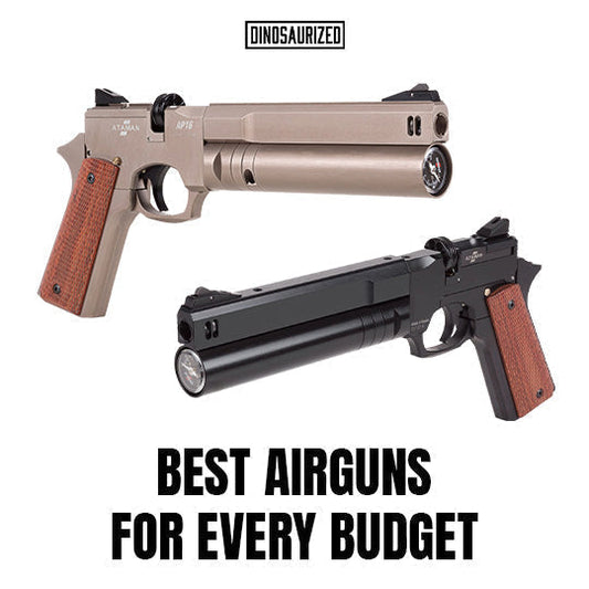Top Best Air Guns for Every Need