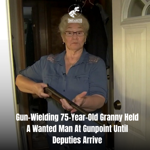 Gun-Wielding 75-Year-Old Granny Held A Wanted Man At Gunpoint Until Deputies Arrive