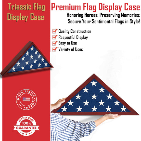 Triassic Flag Display Case GG