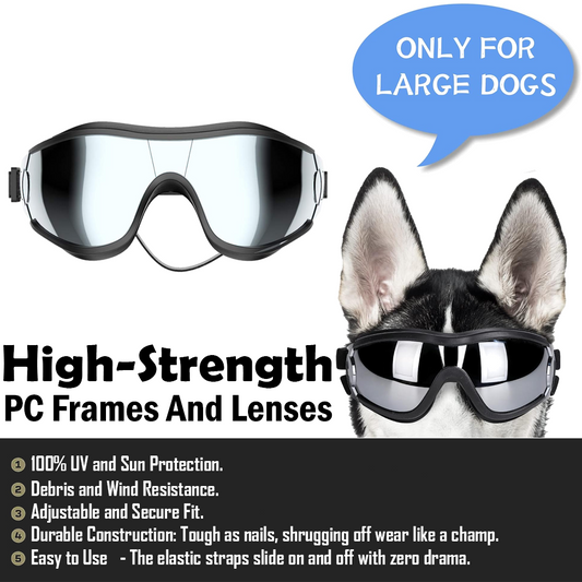 Forseti Dog Sunglasses GGi