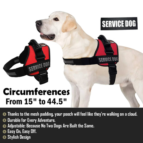 Anicetus Service Dog Harness GG