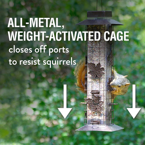 Triassic Squirrel Proof Bird Feeder GG