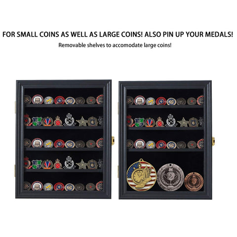 Triassic Multifunctional Coin Display Case GG