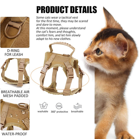 Hecate Cat Harness for Walking GG