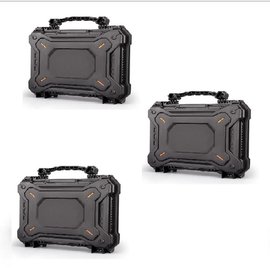 3 Wiin Pistol Safety Cases