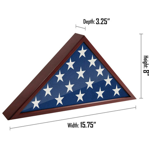 Triassic Flag Display Case GG