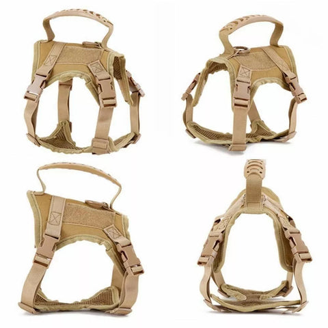 Hecate Cat Harness for Walking GG