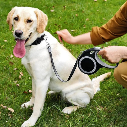 Triassic Retractable Dog Leash GG