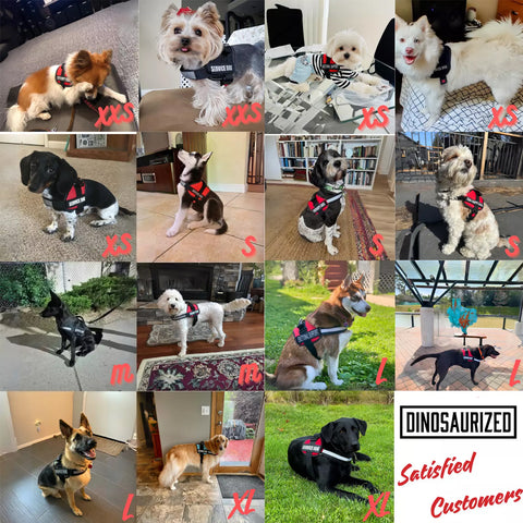 Anicetus Service Dog Harness GG