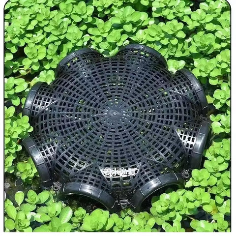 Vidar Large Eel Fish Cage Trap Fish Catching Cage GG