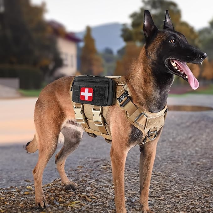 Dino Tactical Molle Admin Pouch