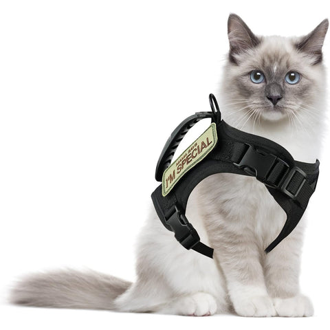 Hecate Cat Harness for Walking GG