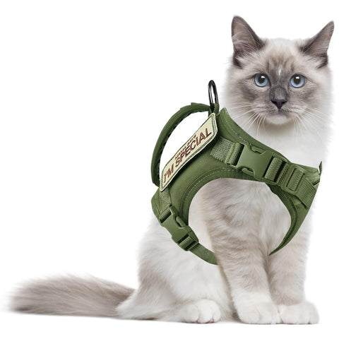 Hecate Cat Harness for Walking GG