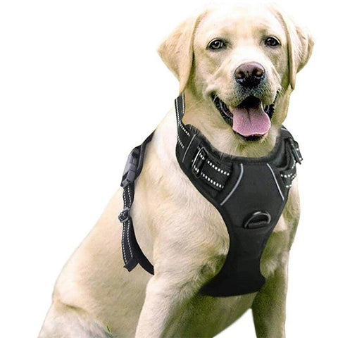 Colo Tactical Dog Vest