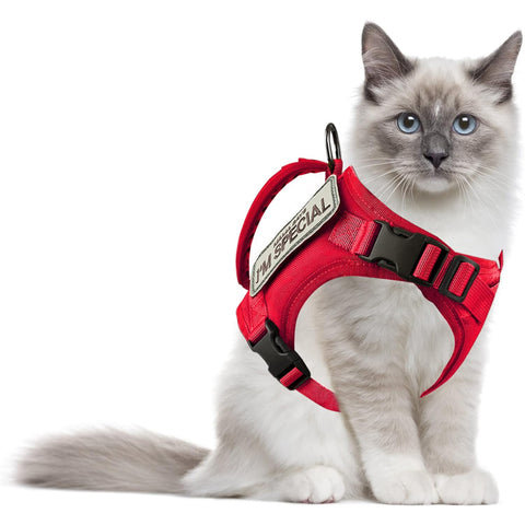 Hecate Cat Harness for Walking GG