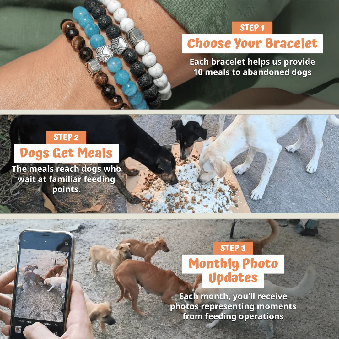 Rescue Paws Bracelet