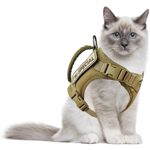 Hecate Cat Harness for Walking GG