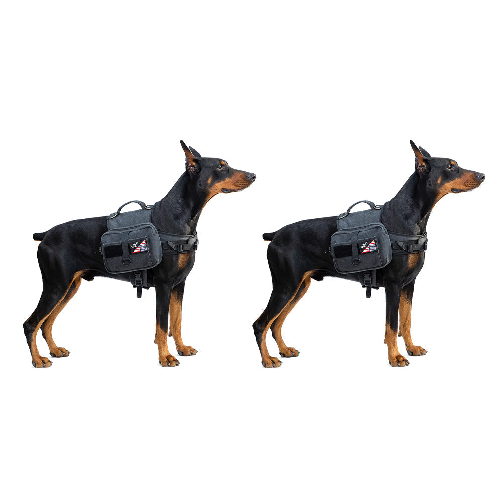 2 Sets Hecate Dog BackPack GG