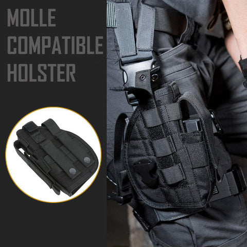 THEMIS MOLLE HOLSTER GG